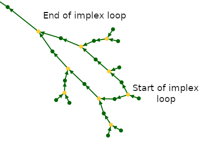 en-graph-implex.png