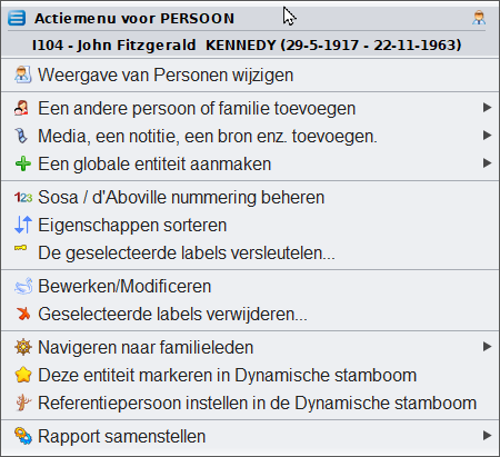 nl-context-menu.png