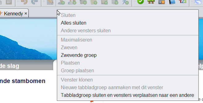 nl-tab-group.png