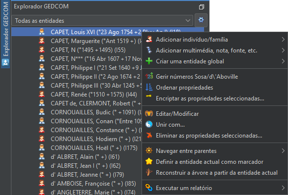 pt-explorer-context-menu-entity.png
