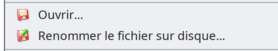 fr-context-menu-FILE.png